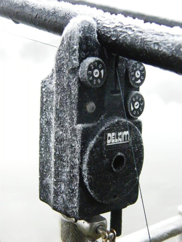 CARP Technology - 5303176007392547574573579400n.jpg